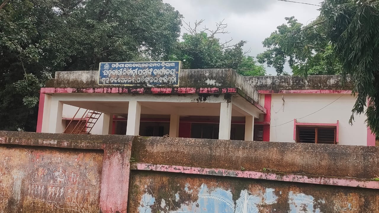 ବାଲିଗୁଡା କ୍ଷୁଦ୍ର ଜଳସେଚନ କାର୍ଯ୍ୟାଳୟ ଲଟା ବୁଦାରେ ପରିପୂର୍ଣ୍ଣ : ଭଙ୍ଗାରୁଜା ଅବସ୍ଥାରେ ଘାଇ, ଚିନ୍ତାରେ ଚାଷୀ