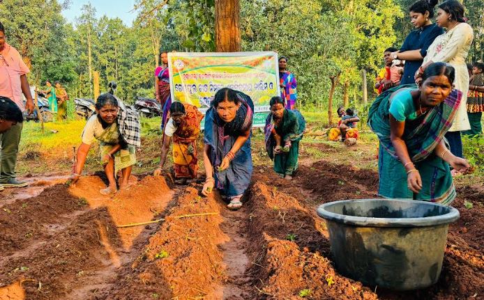 ମୁଖ୍ୟମନ୍ତ୍ରୀ ଜନଜାତି ଜୀବିକା ମିଶନ ପକ୍ଷରୁ ଗେଣ୍ଡୁ ଫୁଲ ଚାଷ ନିମନ୍ତେ ତାଲିମ ପ୍ରଦାନ।