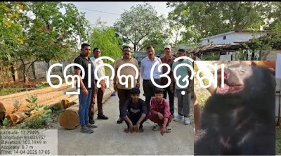 ଭାଲୁ କ୍ରୁରତା ଏବଂ  ହତ୍ୟା ଘଟଣା:ଭିଡିଓ ଆଧାରରେ ଦୁଇ ଗିରଫ ; ବନମନ୍ତ୍ରୀ କହିଲେ – ଅକ୍ଷମଣୀୟ ଅପରାଧ